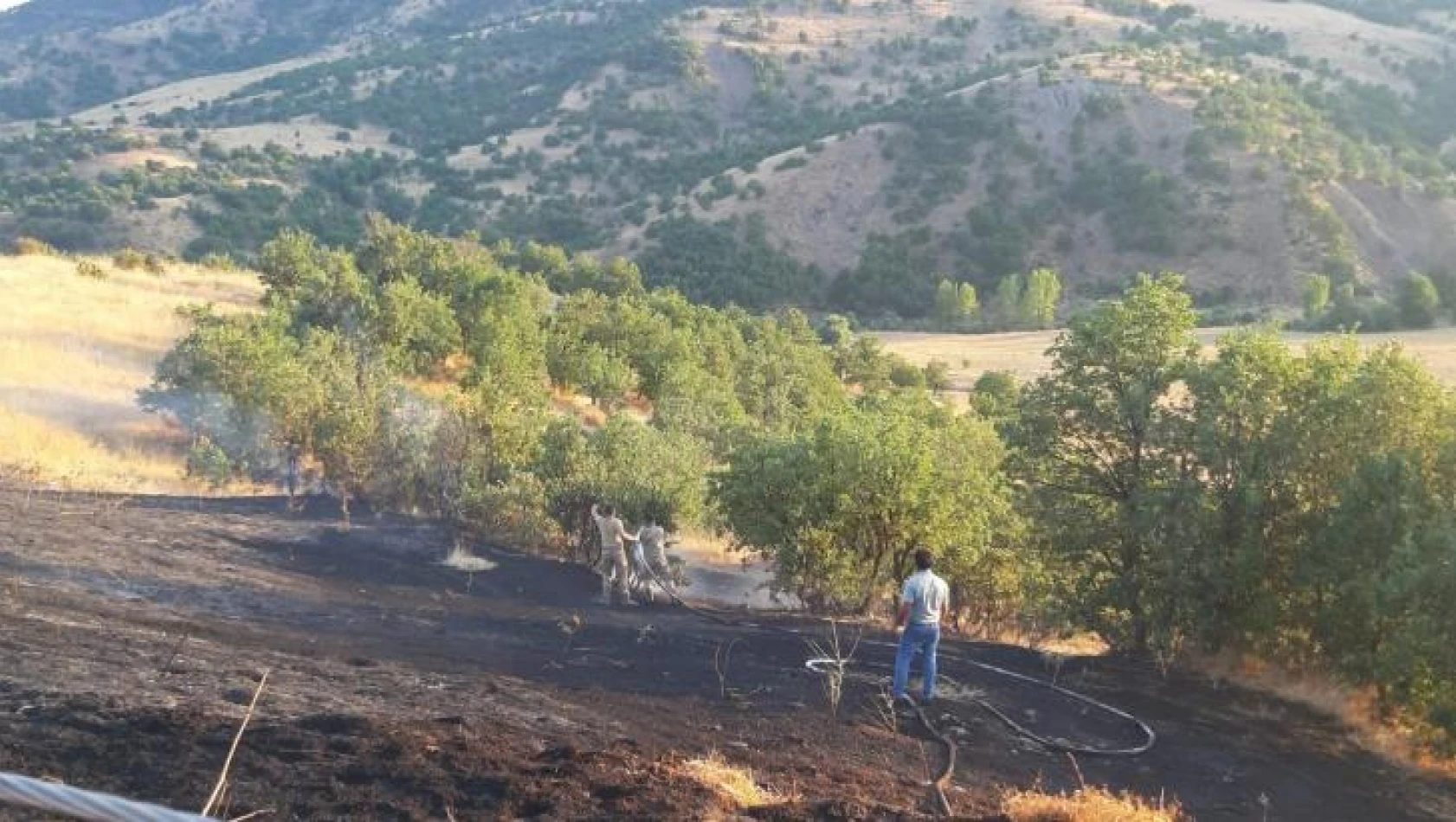 Bingöl'de otluk alanda çıkan yangın büyümeden söndürüldü