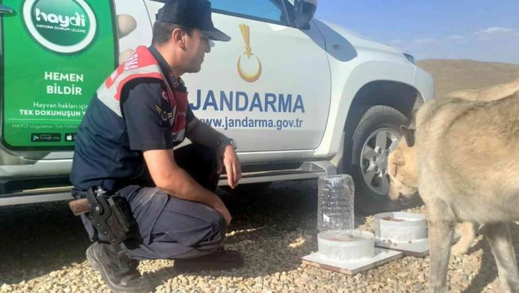 Jandarmadan hayvanlara şamandıra sistemli su ve yem kapları