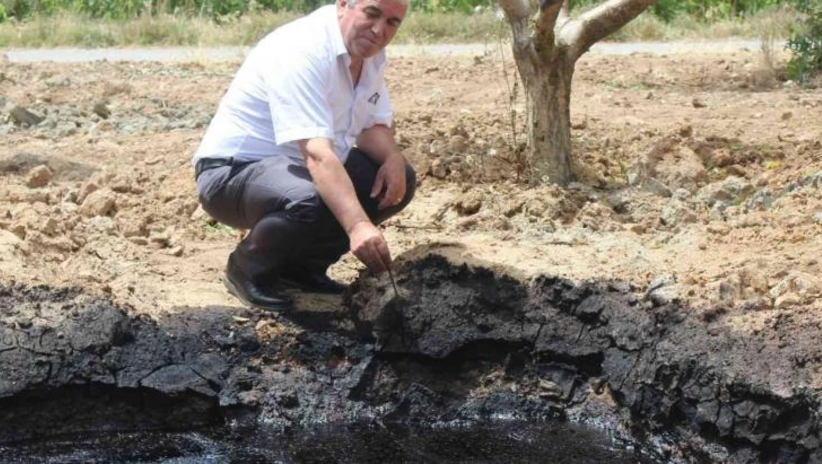 Manisa'da petrole benzer siyah sıvı heyecan uyandırdı