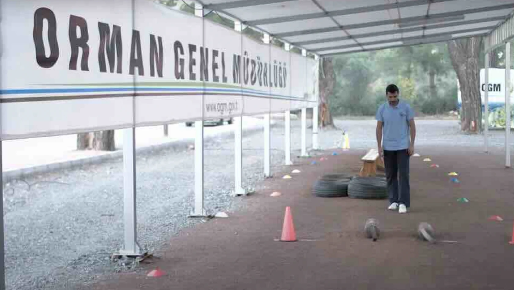 Orman Genel Müdürlüğü 9 geçici işçi alacak