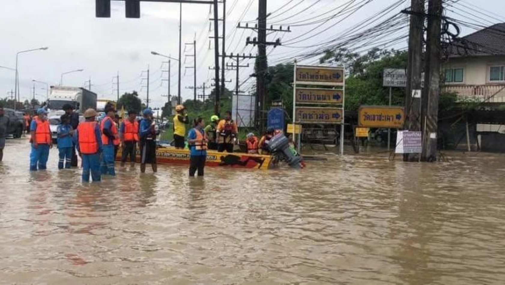 Tayland'da tavuk çiftliğini su bastı: 140 bin tavuk telef oldu