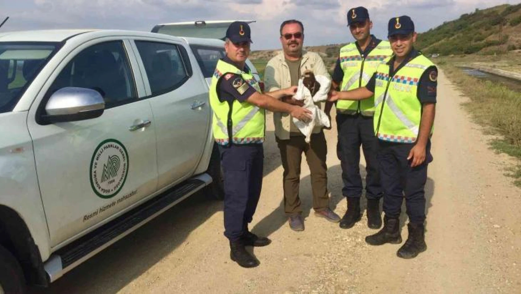 Yaralı bulunan 'orman kartalı' jandarma ekipleri tarafından kurtarıldı