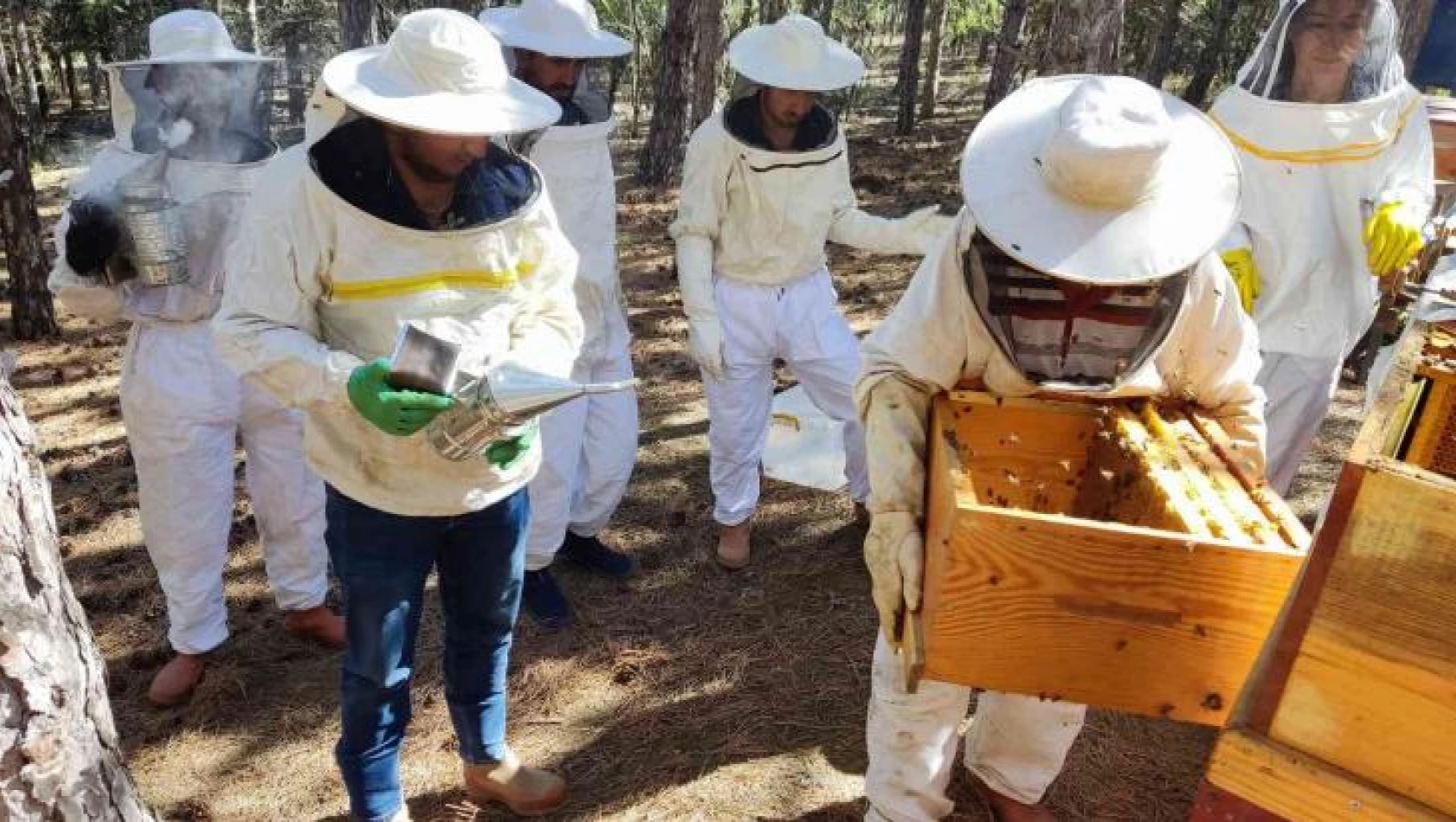 Ziraat öğrencilerinin uygulamalı eğitim aldığı kovanlarda verim bu yıl 300 kiloyu aşacak