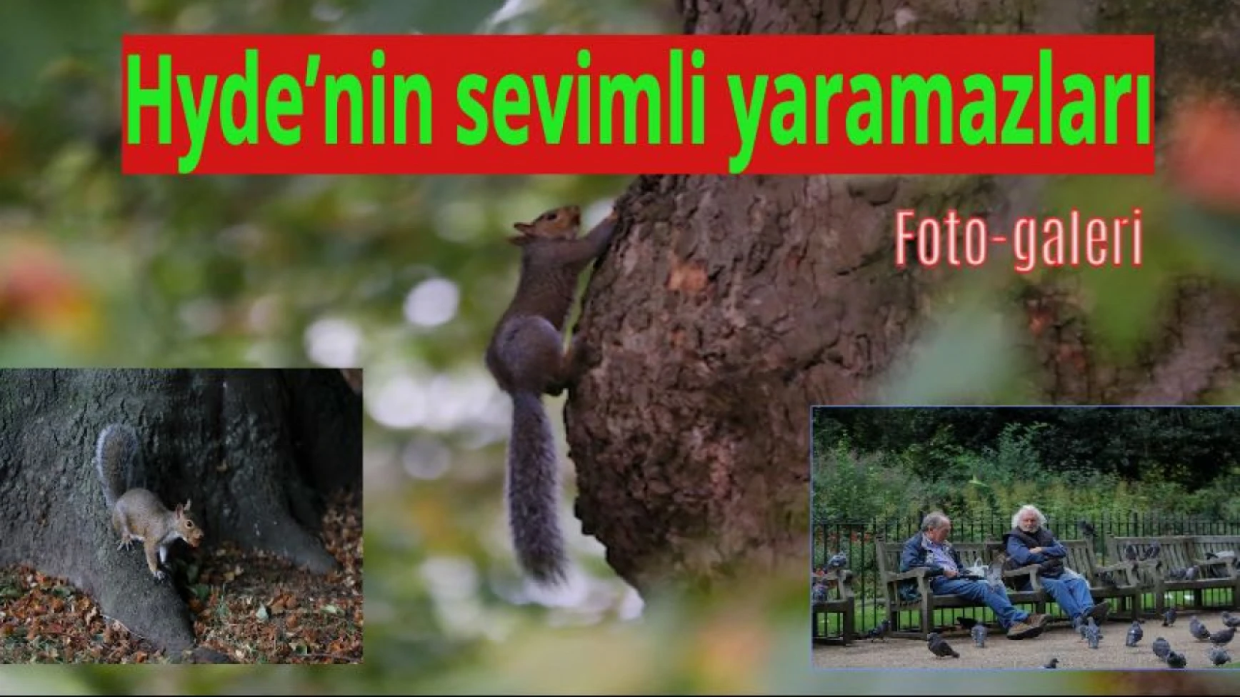 Hyde’nin sevimli yaramazları