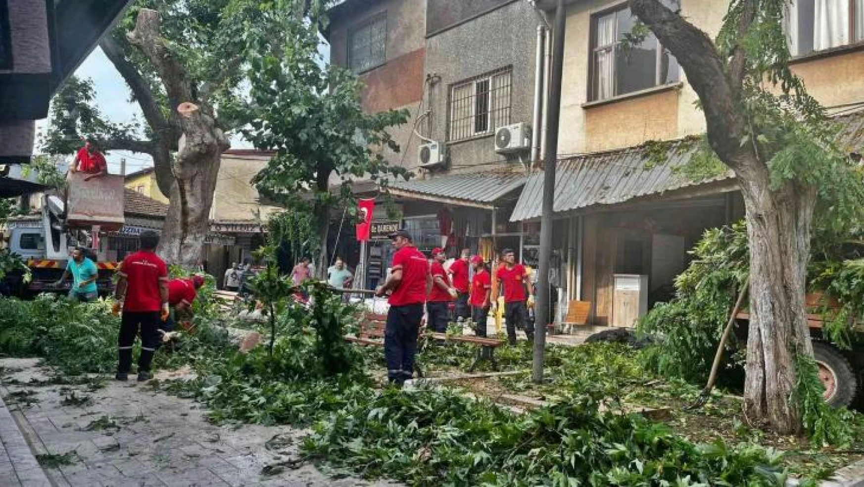 Akhisar'da fırtına etkili oldu, ağaç devrildi, çatılar uçtu