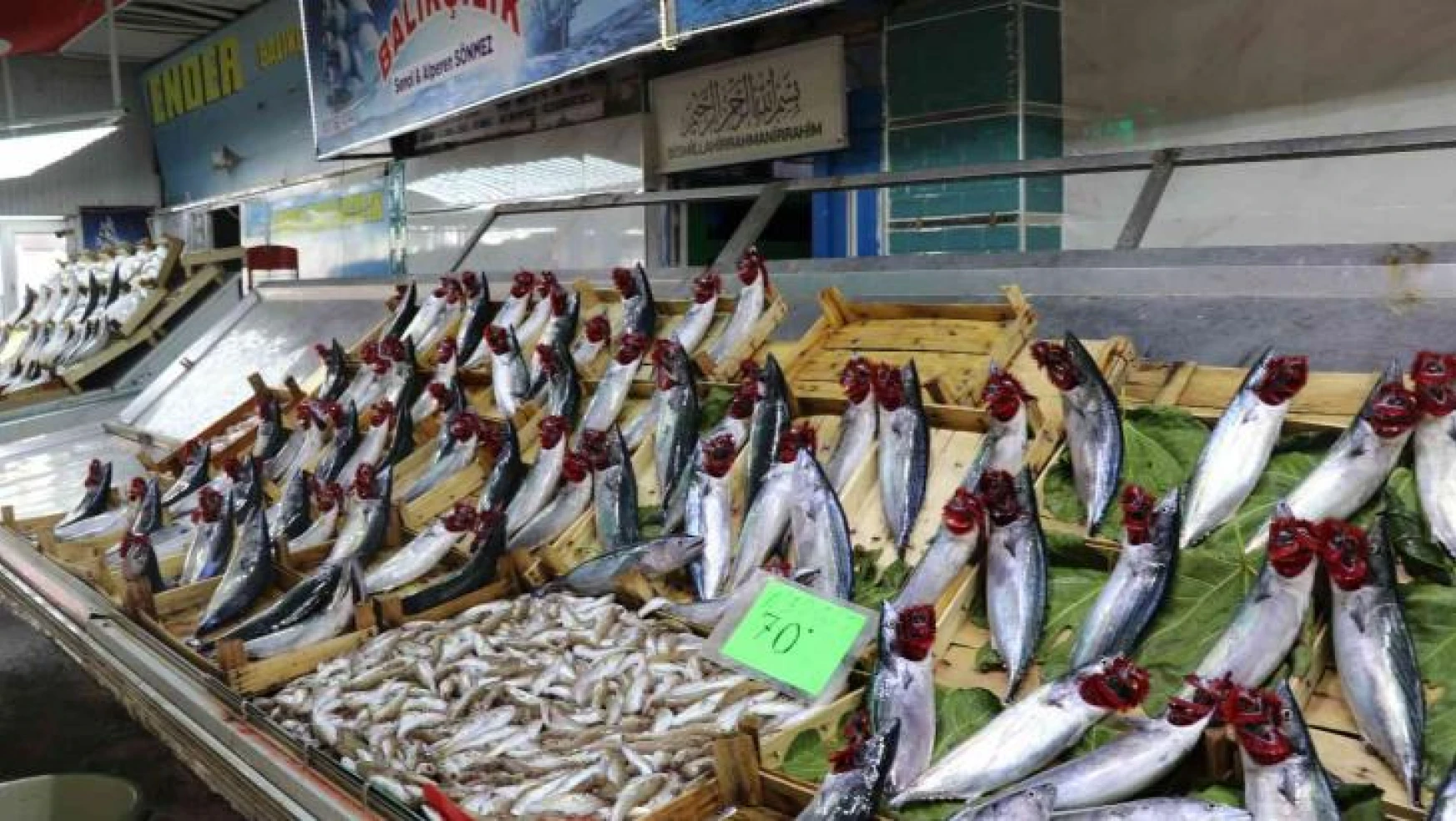 Balık bollaşınca fiyatlar 50 TL'ye geriledi