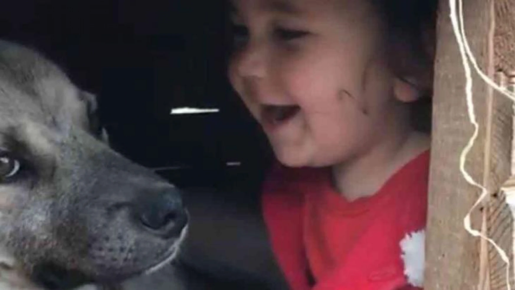 Erzurum'da küçük çocuğun köpek sevgisi görenleri gülümsetti