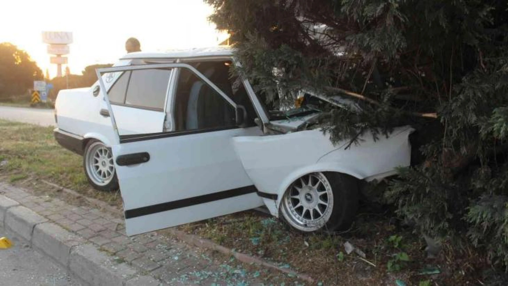 Manisa'da otomobil refüjdeki ağaca çarptı: 1 ölü, 1 ağır yaralı