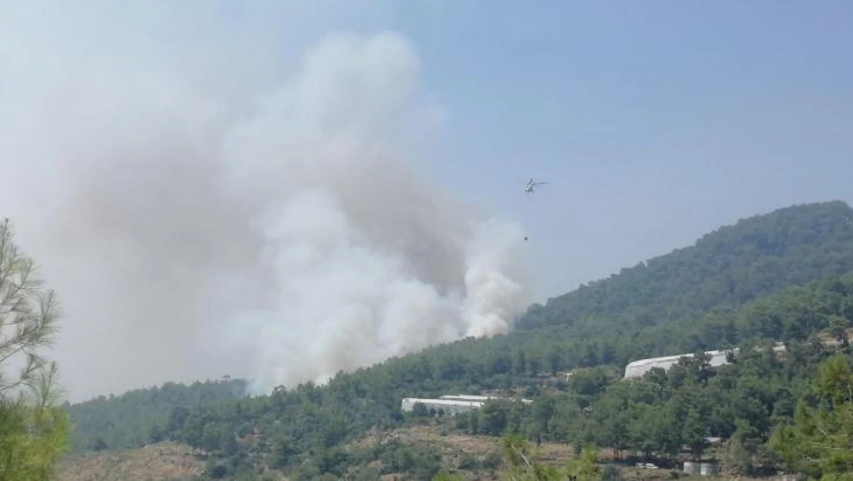 Mersin'de orman yangınına 2 uçak ve 5 helikopterle müdahale ediliyor