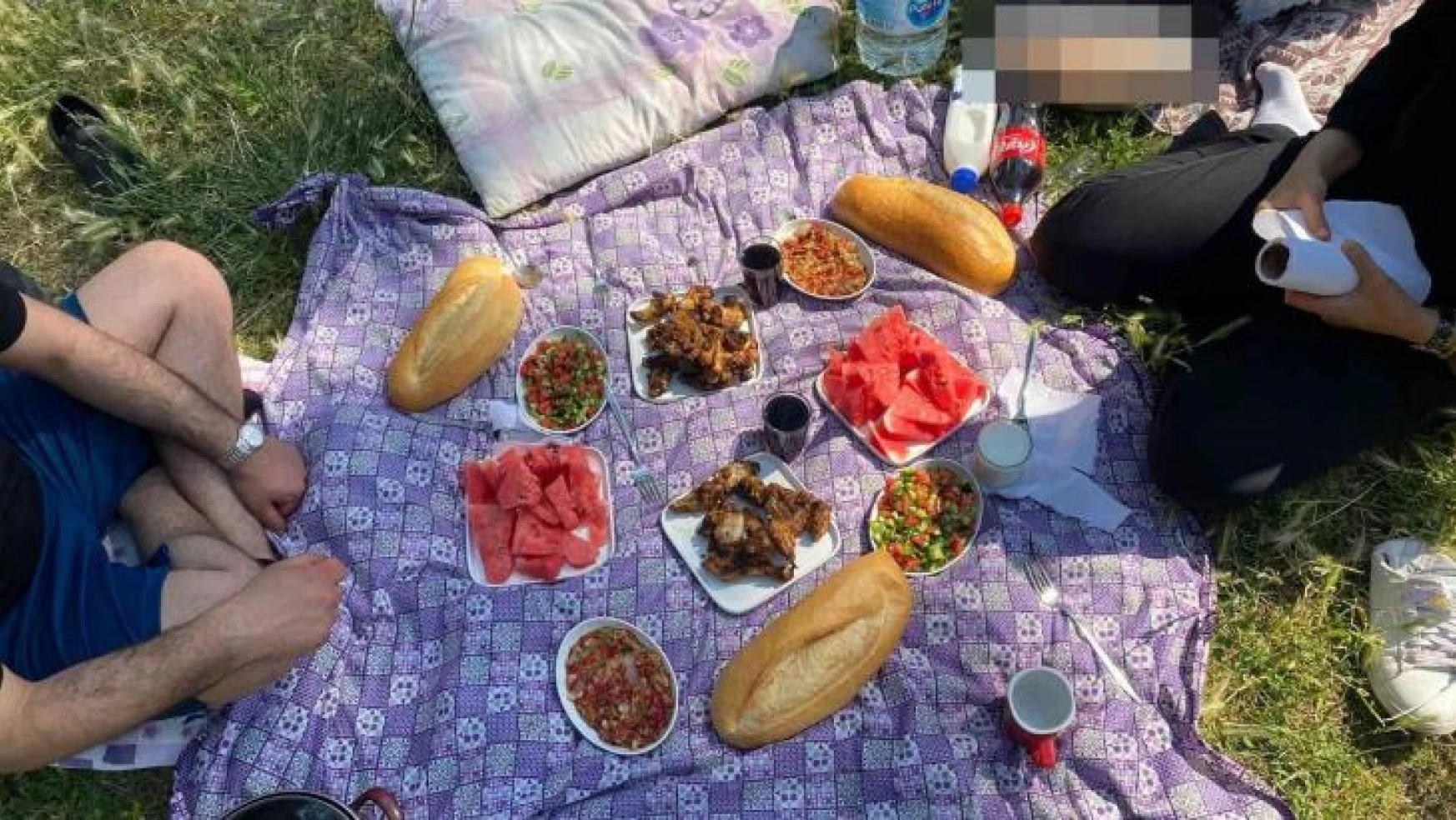 Piknikte ekmeği böldüklerinde hayatlarının şokunu yaşadılar