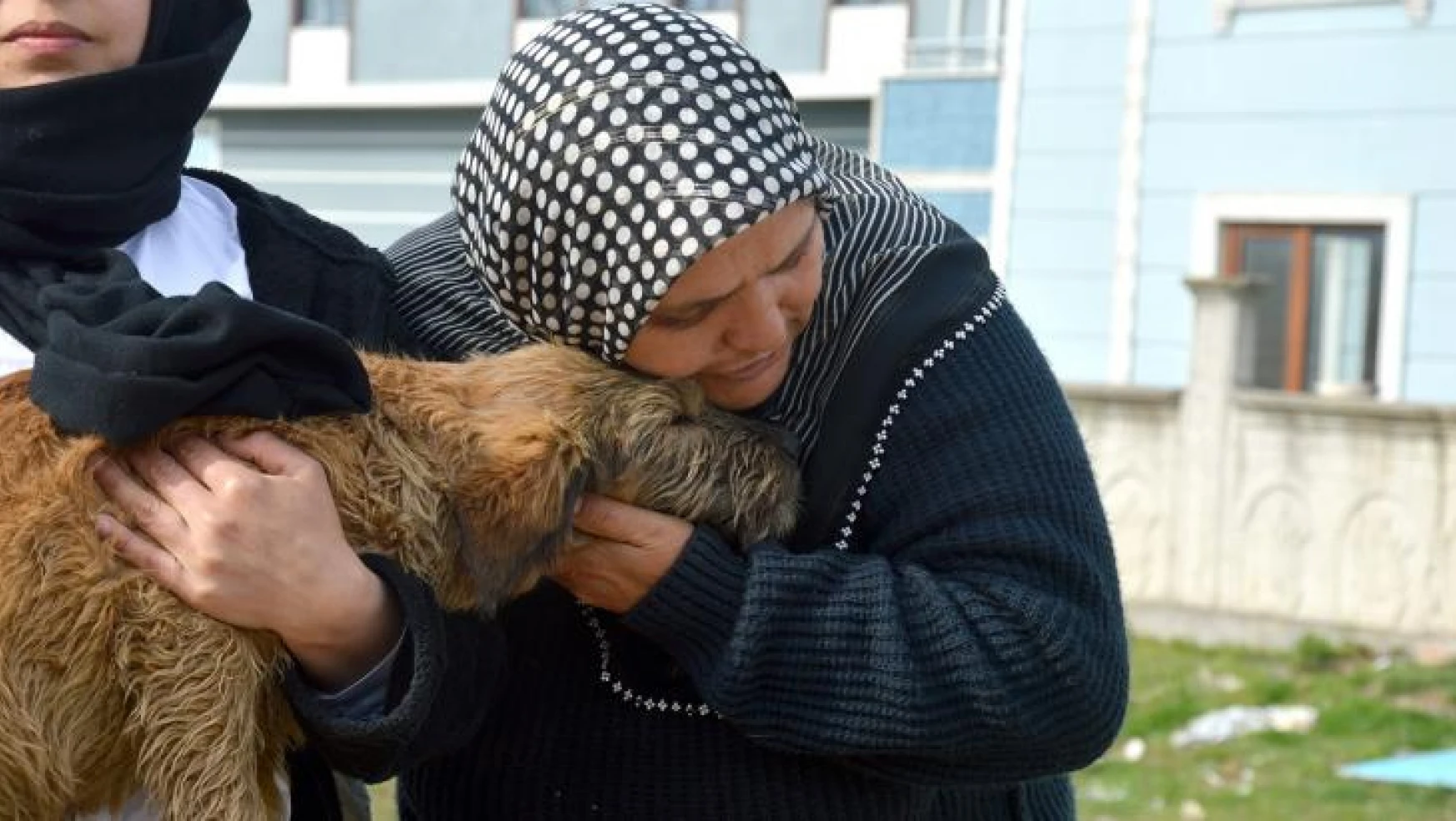 Sakarya'da köpeği ile sahibinin öldürülmekle tehdit edildiği iddiası
