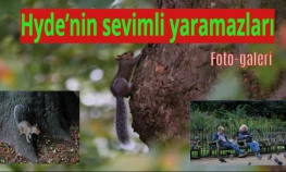 Hyde'nin sevimli yaramazları