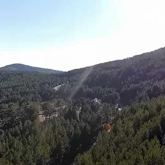 Orman Genel Müdürlüğü 252 sürekli işçi alacak