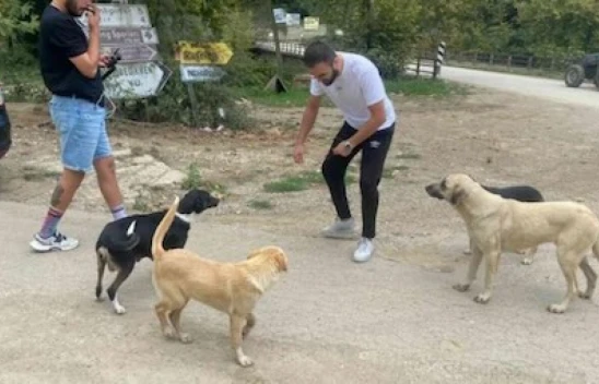 Hayvanları Koruma Kanunu değişiklik teklifinin tam metni