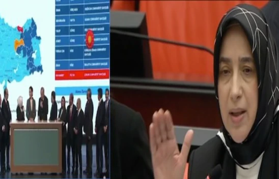 'Özlem Zengin hem yeğenine hem Erdoğan'a zarar verdi'