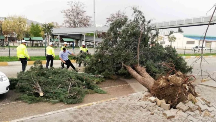 Tokat'ta fırtına hayatı olumsuz etkiledi