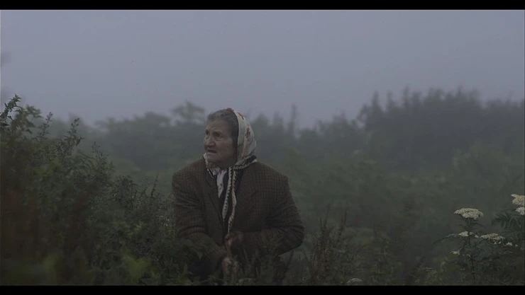 'Kalandar Soğuğu' filmi Fransa'dan ödül aldı