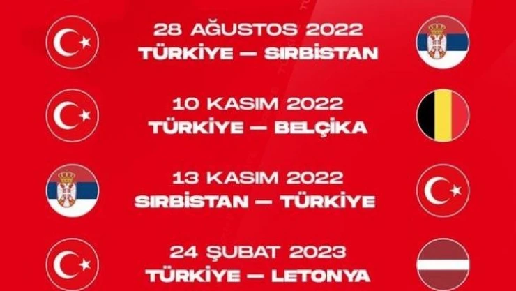 A Milli Erkek Basketbol Takımı'nın ikinci tur maç programı belli oldu