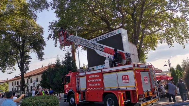 Ağaca takılan yaralı karganın imdadına itfaiye yetişti