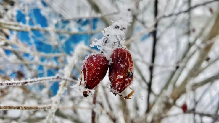 Ağrı'da ilkbaharda da soğuklar etkisini sürdürüyor