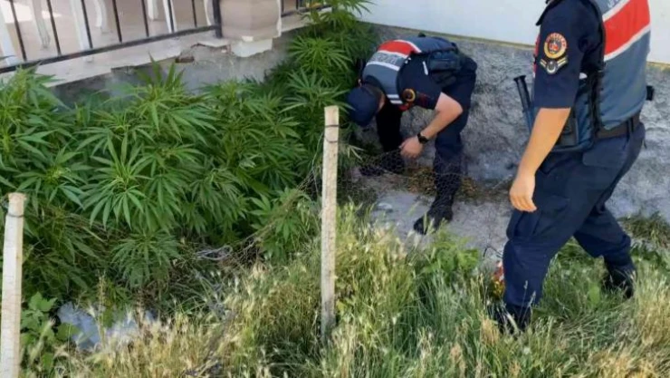 Aksaray'da 2 köyde uyuşturucu operasyonu: 1'i kadın 2 gözaltı
