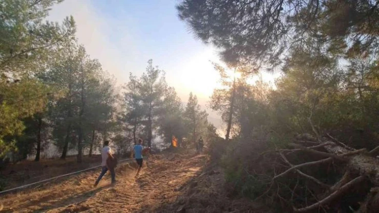 Alevlerin kontrol altına alınması için iş makineleri konuşlandırıldı