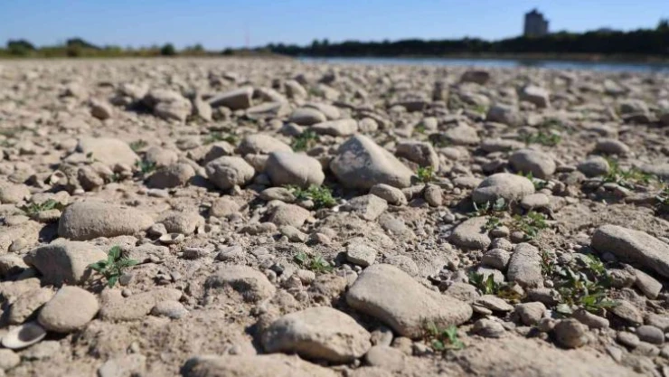 Almanya'da Ren Nehri'nin su seviyesinde ciddi düşüş