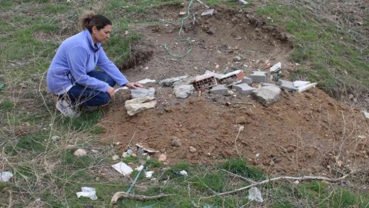 Ankara'da sokak hayvanlarının bir ayda 6 kez zehirlenmesi hayvanseverleri isyan ettirdi