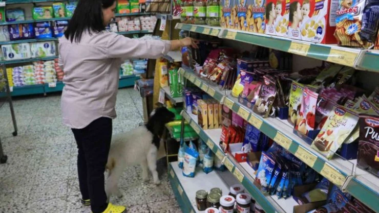 Anneleri ölmüş kuzulara evinde bebek gibi bakıyor