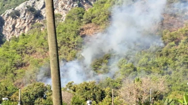 Antalya Adrasan'da orman yangını