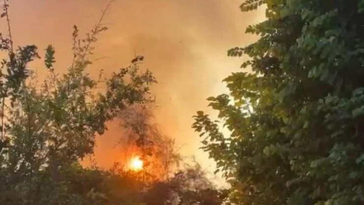 Antalya'da plaja yakın bölgede çıkan yangın korkuttu
