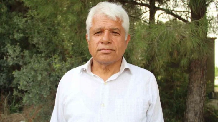 Antalya'da yunus sürüsü tekneye eşlik etti