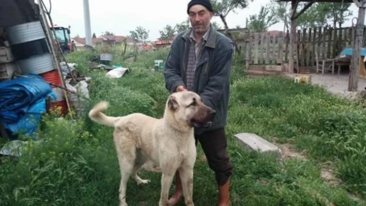 Arazi kavgasında baba yaralandı, oğlu hayatını kaybetti