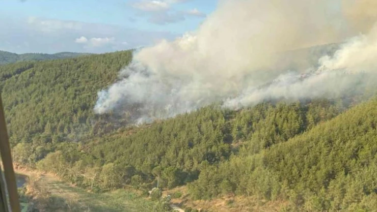 Balıkesir'de orman yangını