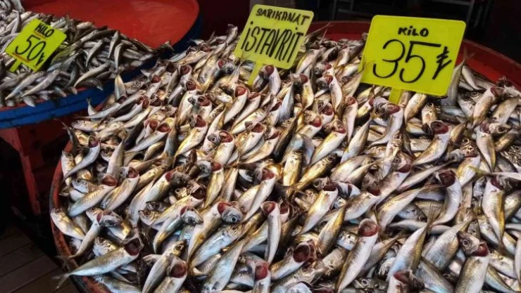 Bandırma balık halinde ramazan bereketi