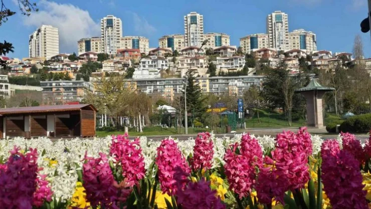 Başakşehir'de bahar hazırlıkları başladı