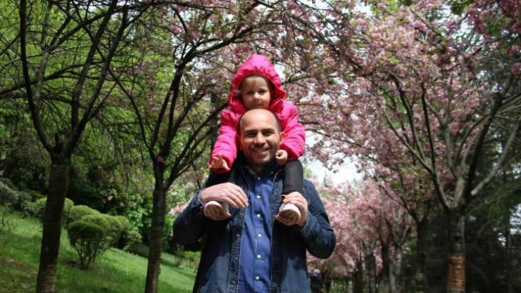 Başkent'in ortasındaki sakuralar görsel şölen oluşturuyor