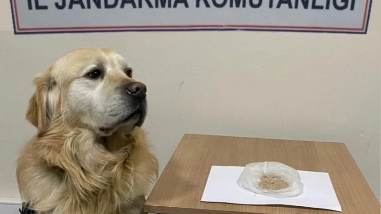 Başkent'teki uyuşturucu operasyonlarında 9 gözaltı