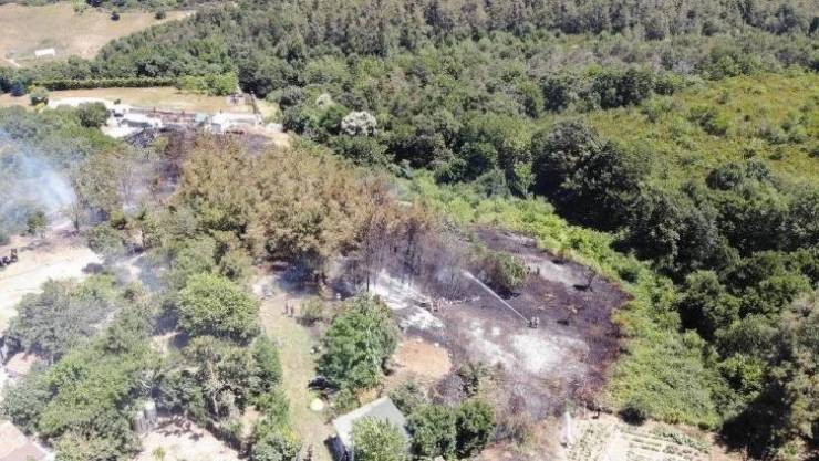 Beykoz'da korkutan orman yangını: Alevler evlerin bahçesine sıçradı