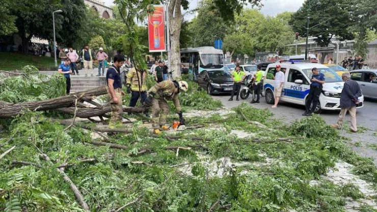 Beyoğlu'nda gövdesinden kırılan ağaç yola devrildi: 2'si turist 3 kişi yaralandı