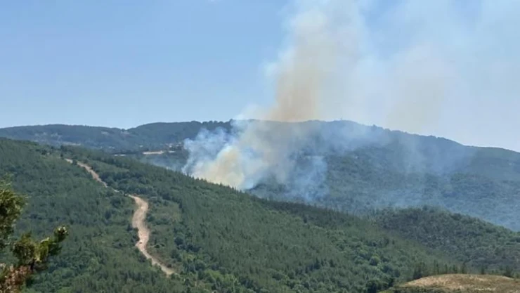 Biga'da çıkan orman yangını kontrol altına alındı