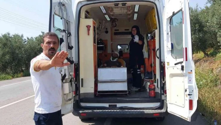 Bursa'da iki kamyon kafa kafaya çarpıştı: 2 yaralı