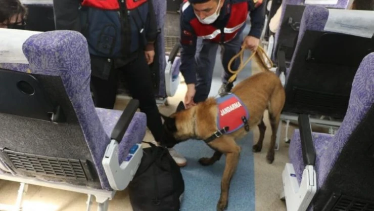 Bursa jandarmasından trende köpekli denetim