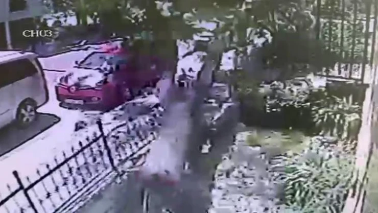 Büyükçekmece'de ağacın araç üstüne devril anı kamerada