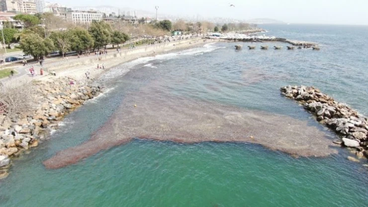 Caddebostan sahilinde deniz çekildi, yer yer kirlilik oluştu