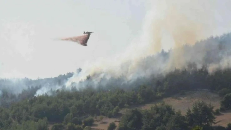Çanakkale, Bolu ve Manisa'da orman yangınları: Binlerce personel ile 14 uçak, 31 helikopter teyakkuzda