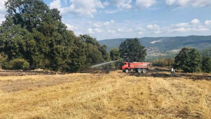 Çanakkale'de çıkan orman yangını kontrol altına alındı