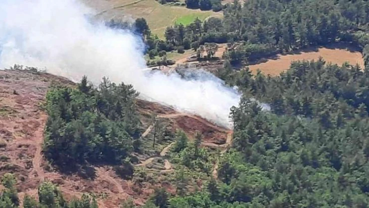 Çanakkale'de orman yangını