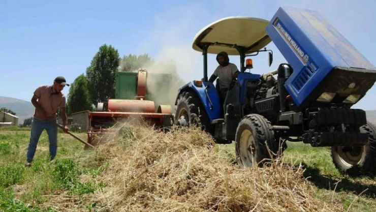 Çiftçilerin Muş Ovası'nda 38 derece sıcakta zorlu patoz mesaisi