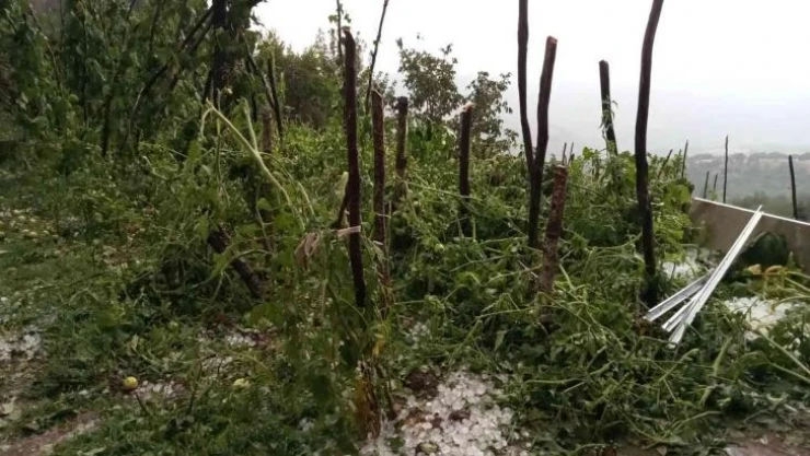 Çorum'da dolu tarım arazilerini vurdu